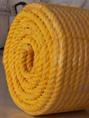 Polly Rope
