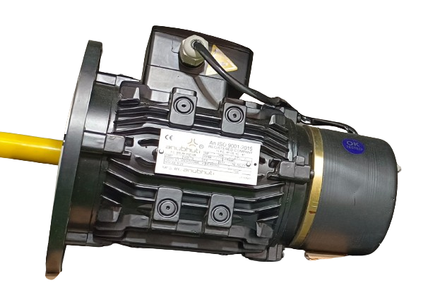 Brake Motor 3 Phase - Ambient Temperature: 50"c Celsius (Oc)