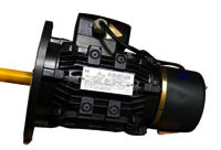 Brake Motor 3 Phase