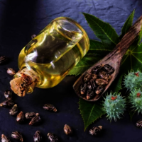 First Special Grade (Fsg) / Refined Castor Oil - Packaging Size: 500 Ml