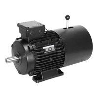 Industrial Brake Motor