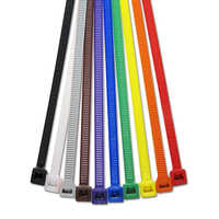200 mm Plastic Cable Tie