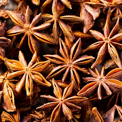 Star Anise - Color: Brown