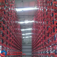 Cold Storage Racking System - Capacity: 1000 Kg