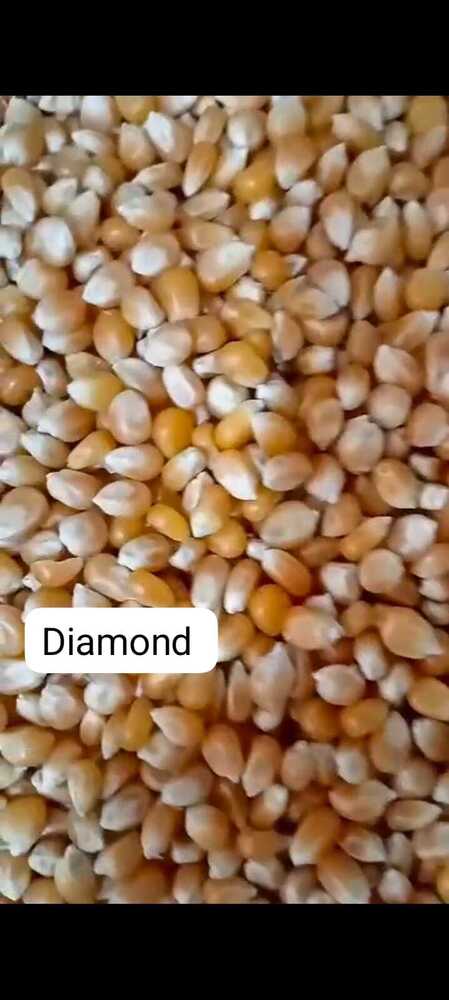 Diamond Maize