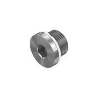 16mm Hytech Buz 16 S Blanking Plug - Body Material: Stainless Steel