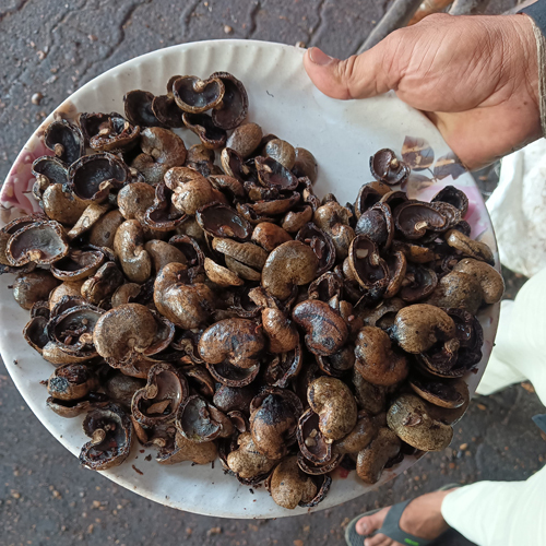 Raw Cashew Shell - Color: Brown