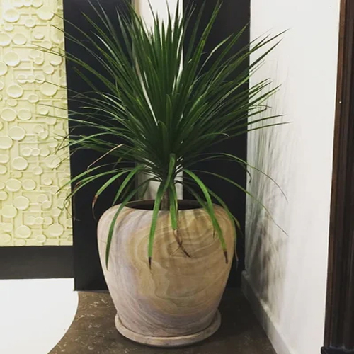 Indoor Marble Flower Pot