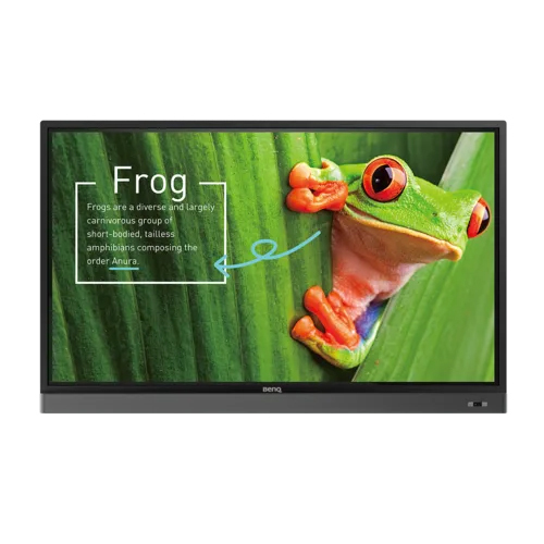 Benq Educational Panel