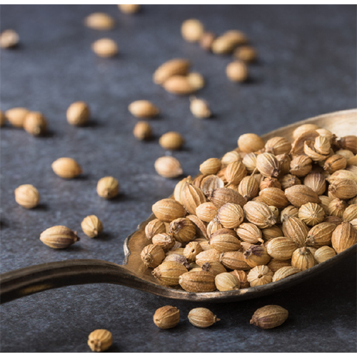 Coriander Seeds