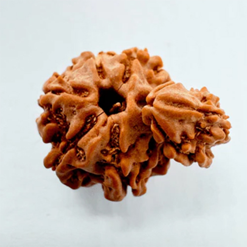3 Mukhi Sawaar Rudraksha