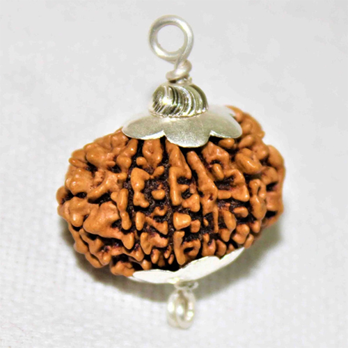 Natural 11 Mukhi Rudraksha Nepal Origin