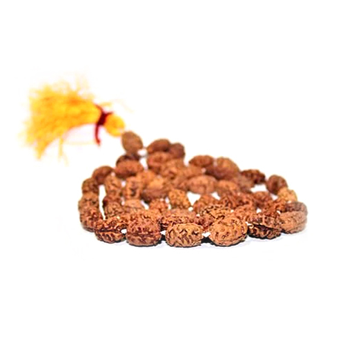 2 Mukhi Rudraksha Mala