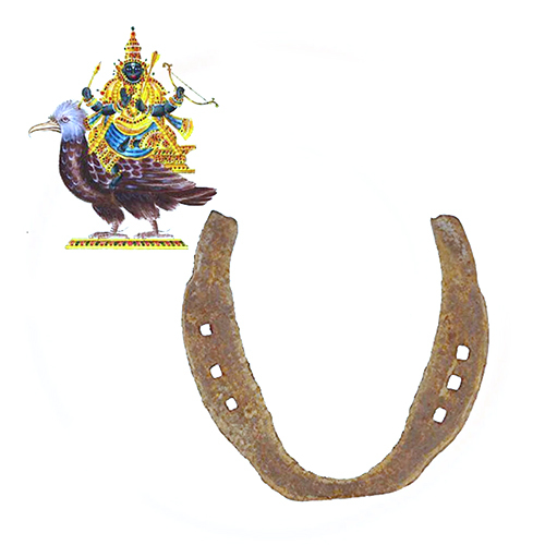 Divy Horse Shoe Ghoda Naal
