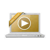 2d Animation Videos Making Service