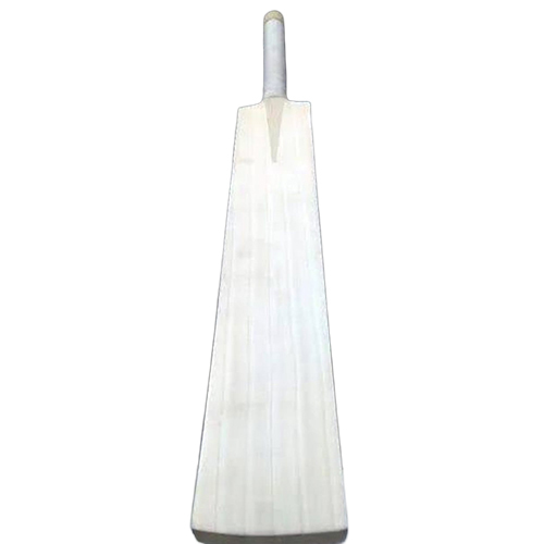 Double Blade Kashmiri Willow Bat