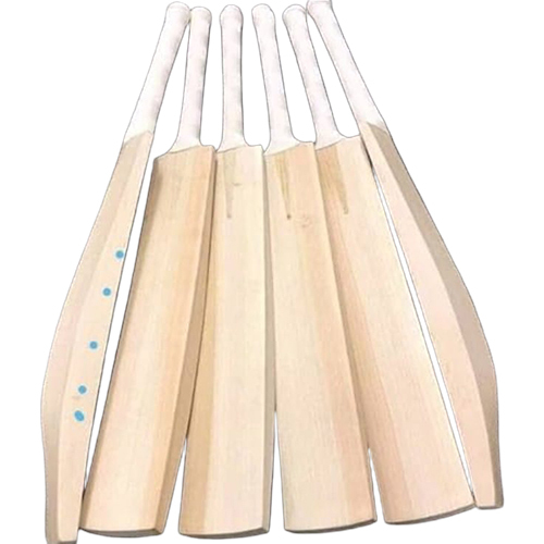 Kashmiri Willow Bat - Age Group: Adults