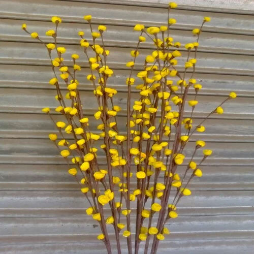 Sola Flower Keno Stick