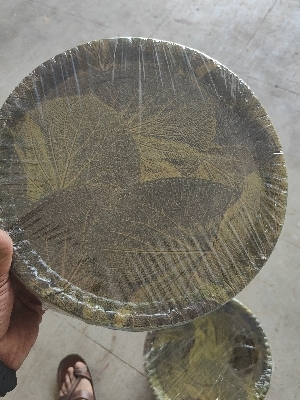 Kelaa patta buffer plate