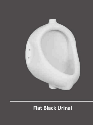 Flat back urinal