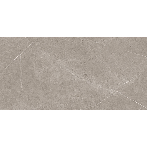 88303-DK 300x600 MM Glossy Wall Tile