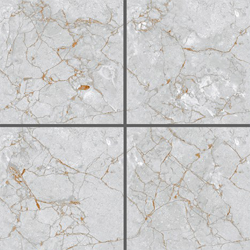 6702-R 600x600 MM Endless Carvin Porcelain Tile