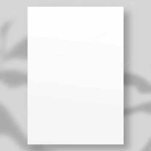 40 GSM White Plain Bible Paper for Pharma