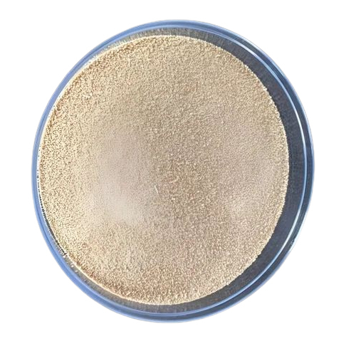 Pharmaceutical Softgel