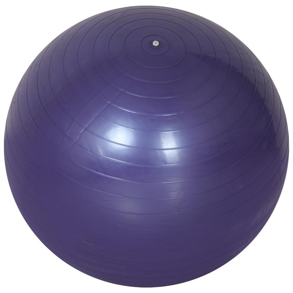  Physio Therapy Exercise Original Zym Ball (55 cm) with Pump for Gym, Yoga, Core Strength & Fitness