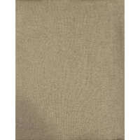 Biscut Single Jersey Fabric