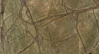 Marble Veneer Products