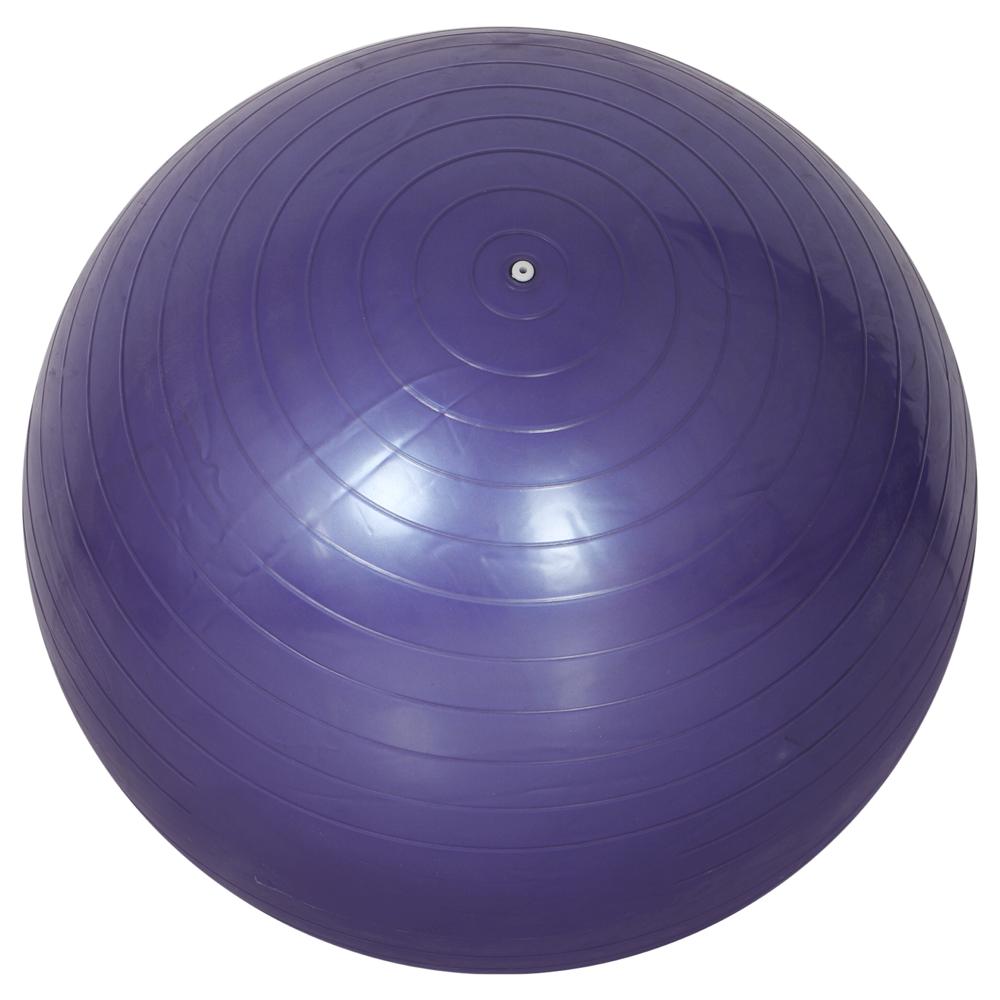 Physio Therapy Exercise Original Zym Ball (65 Cm) With Pump For Zym, Yoga, Core Strength & Fitness - Features: Good Quality