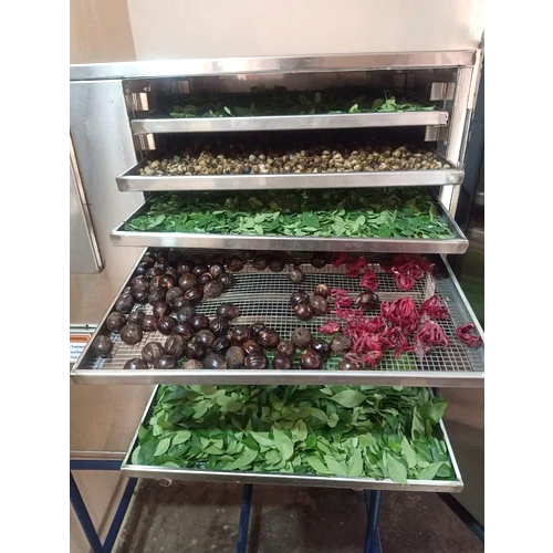 Ss Fruit And Vegetable Dehydration Machine - Automatic Grade: Fully Automatic