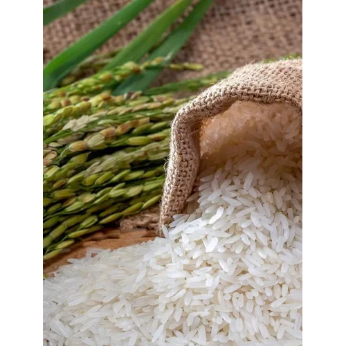 Fresh Indian Basmati Rice - Cultivation Type: Organic