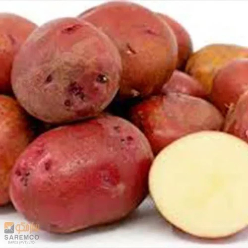 Lr Red Potato - Moisture (%): 58-65%