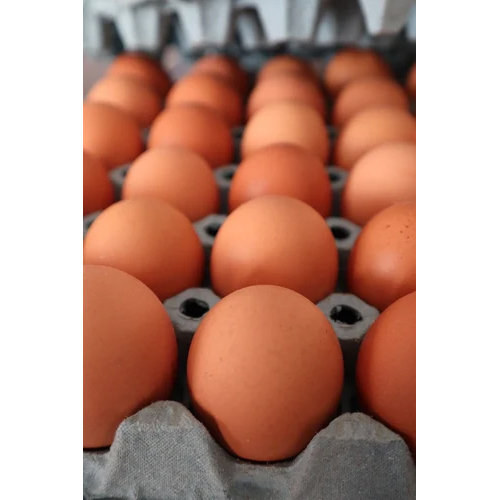 Poultry Eggs - Egg Origin: Chicken