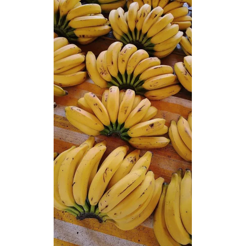 Fresh Banana Fruit