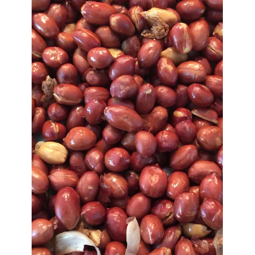 Roasted Salted Peanut