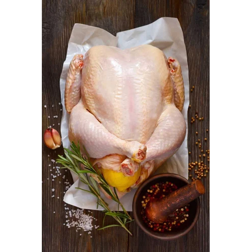 Halal Frozen Chicken - Color: White