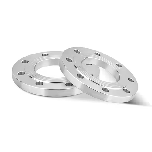 SS 304 Flange