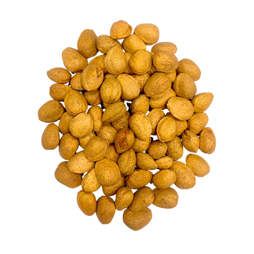 Bitter Apricot Seeds