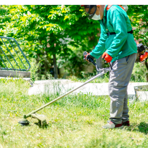 HONDA GX-50 SIDE PACK BRUSH CUTTER