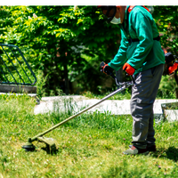 HONDA GX-50 SIDE PACK BRUSH CUTTER