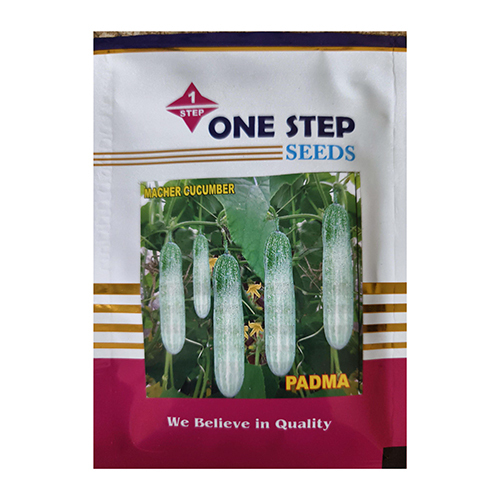 Padma Macher Cucumber Seeds - Cultivation Type: Organic