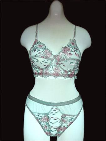 Women Undergarments
