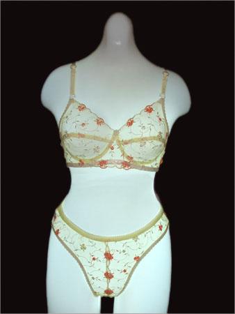 Women Undergarments