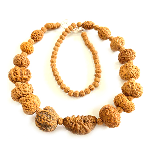 Indonesian 1-14 Mukhi Rudraksha Bracelet
