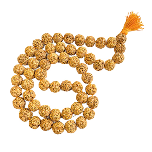 4 Mukhi Rudraksha Kantha Nepali Origin