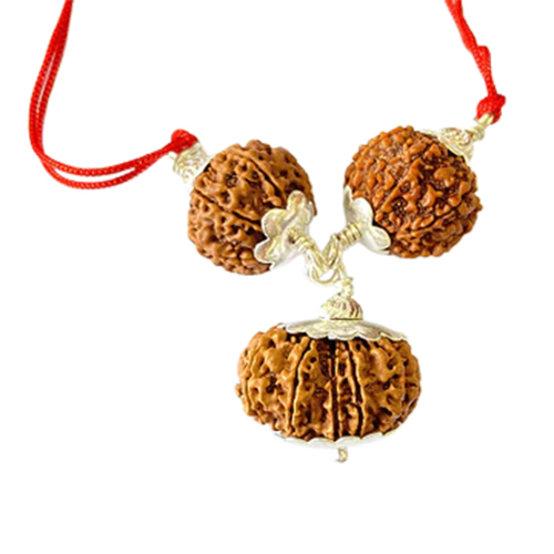 6-6 And 13 Mukhi Nepali Rudraksha Combination For Charisma  Attraction