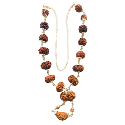 14 Mukhi Rudraksha Mala Nepal Origin